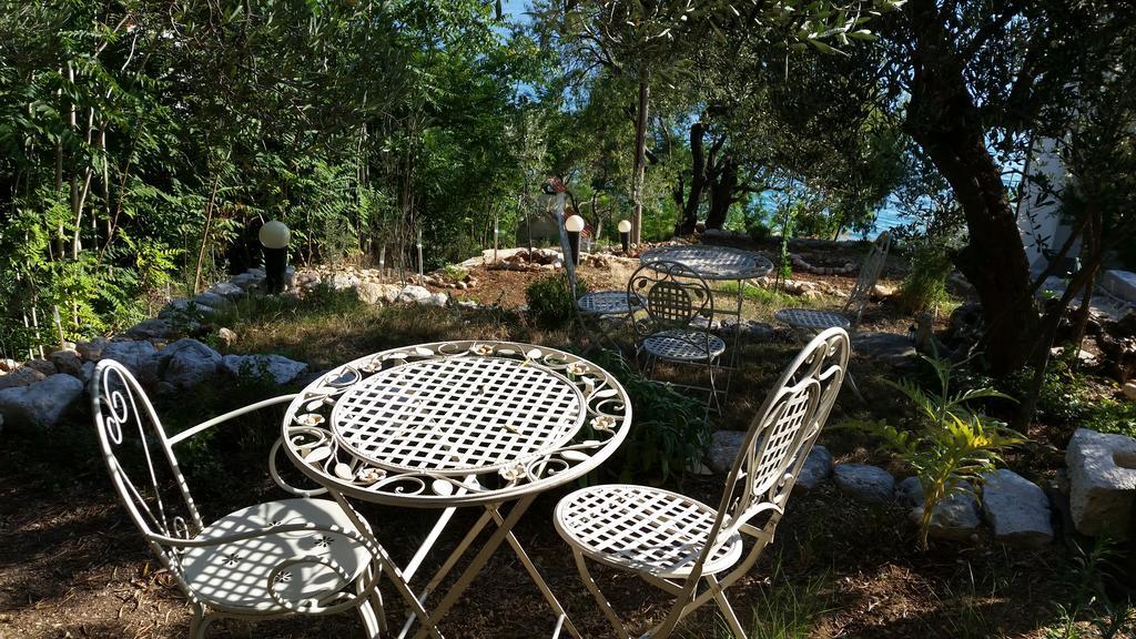 Apartments Vile Holiday Živogošće 部屋 写真